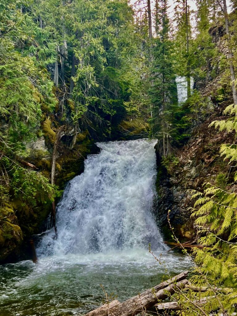 Deer Falls in Syringa Provincial Park 