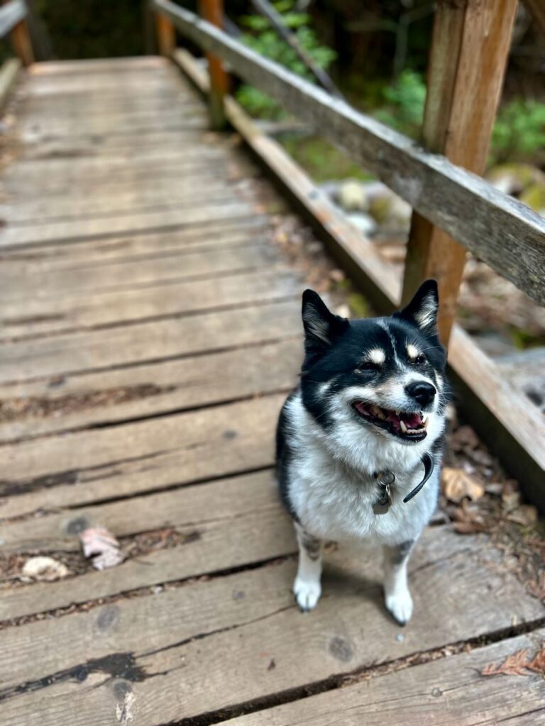 Sproule Creek bridge, Nelson