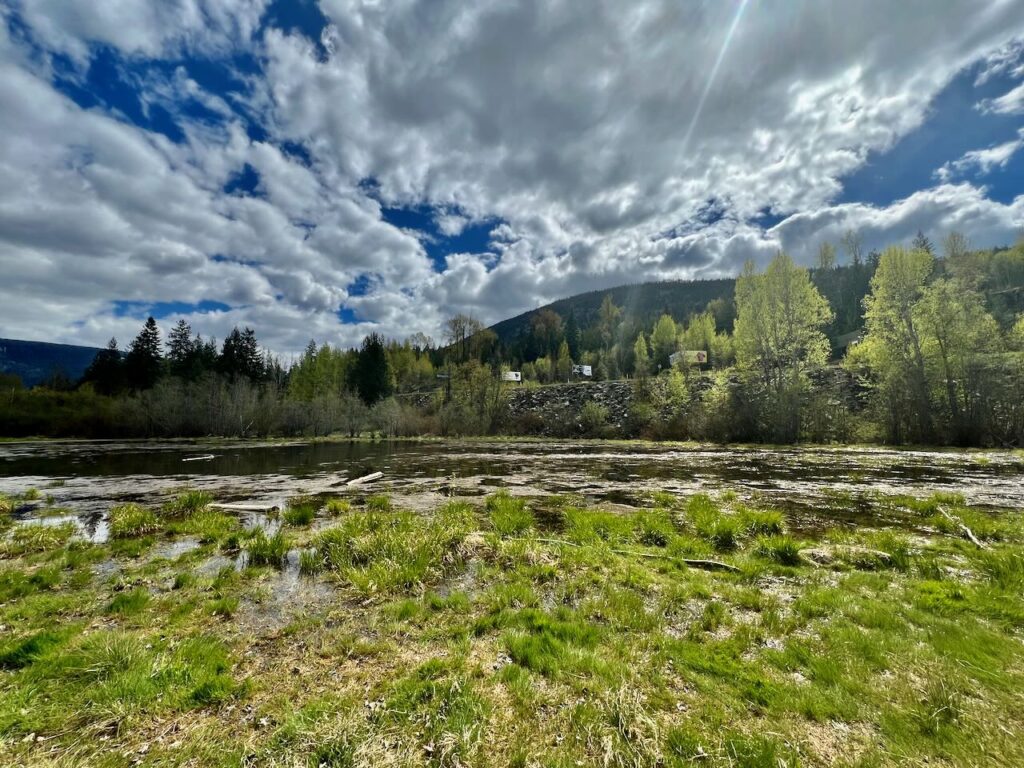 Grohman Narrows, Nelson