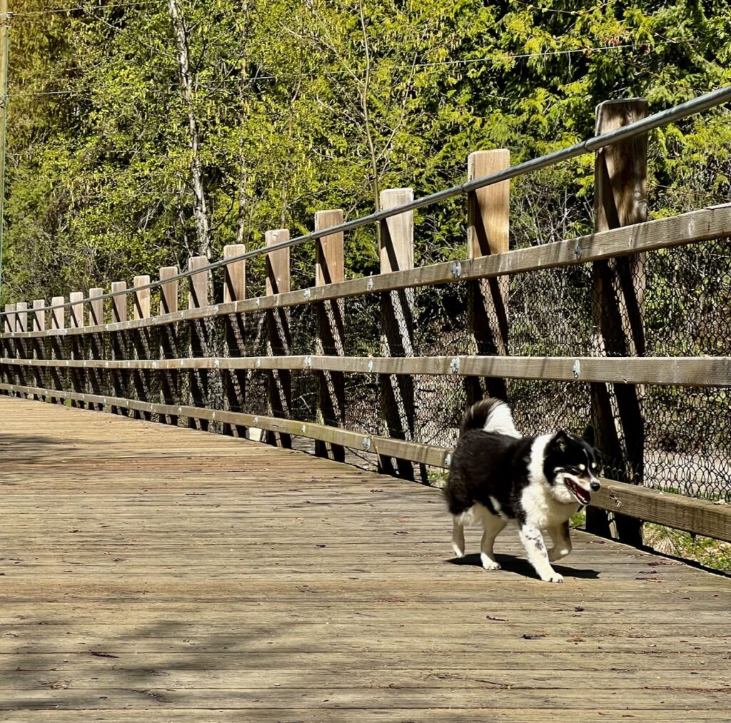 Rails to Trails, Nelson