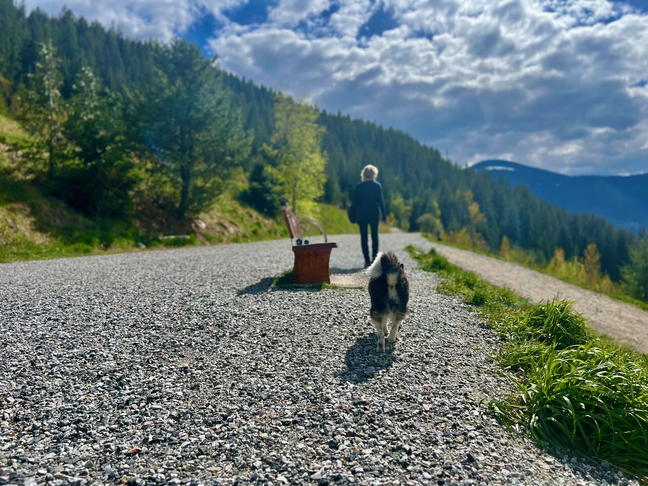 Rails to Trails walking with dog