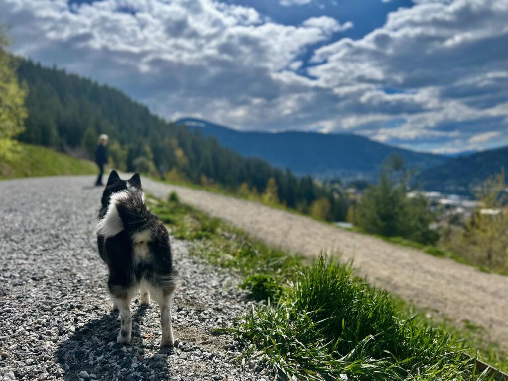 Rails to Trails, Nelson