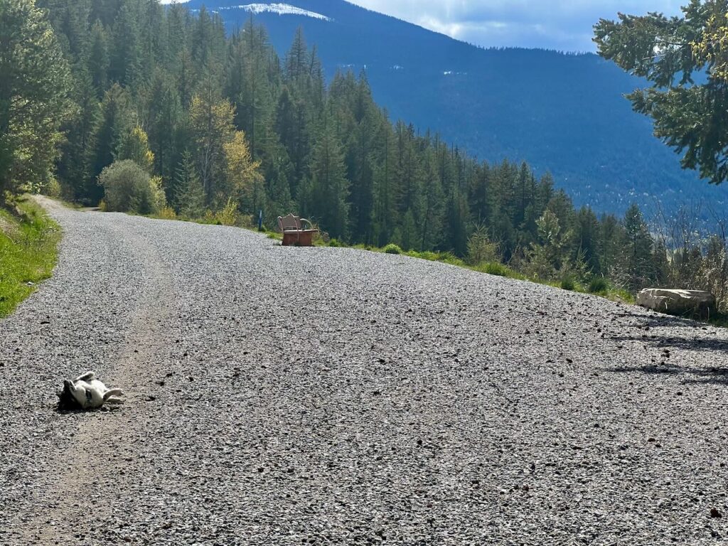 Rails to Trails, Nelson