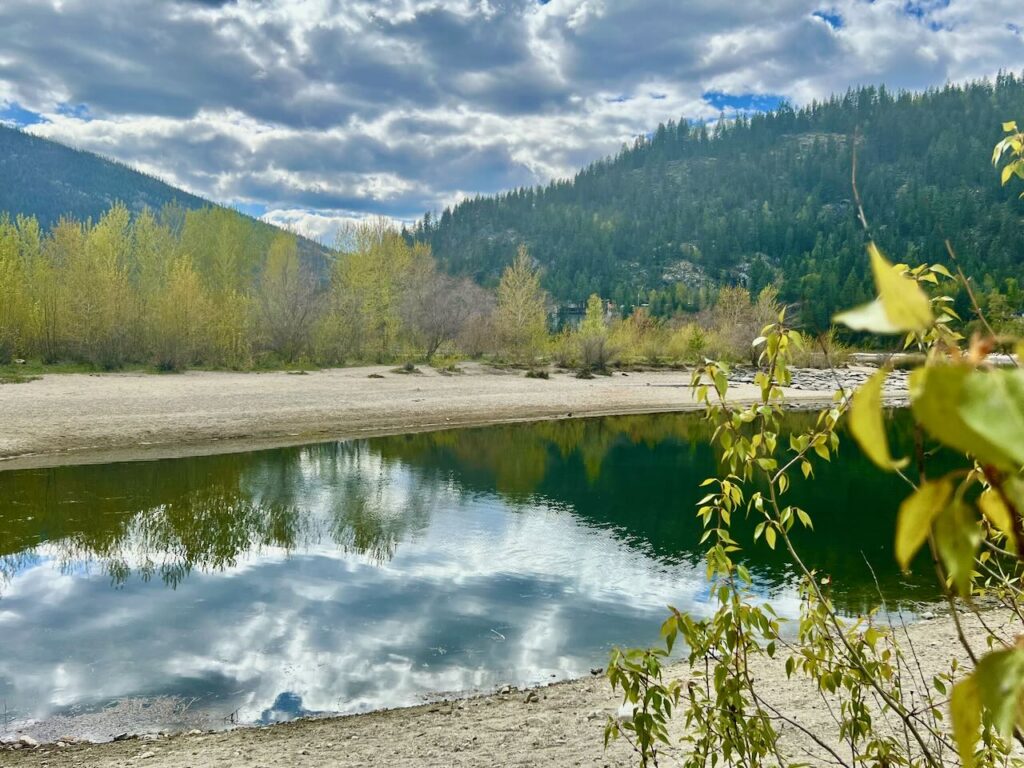 Dog Walk Lakeside Nelson