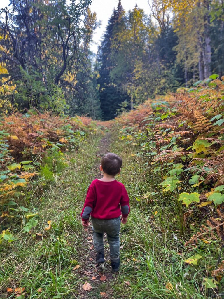 Merry Creek Meadow