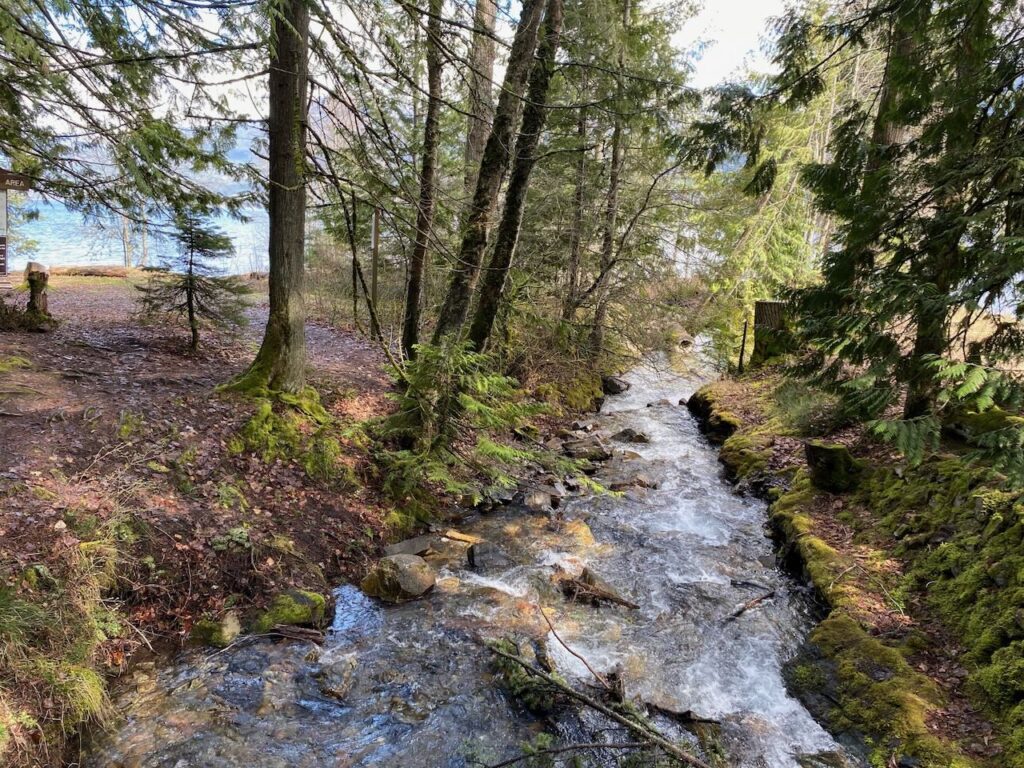 river to fletcher falls kaslo