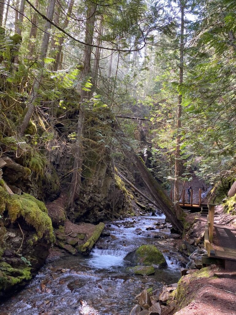 walk to fletcher falls kaslo