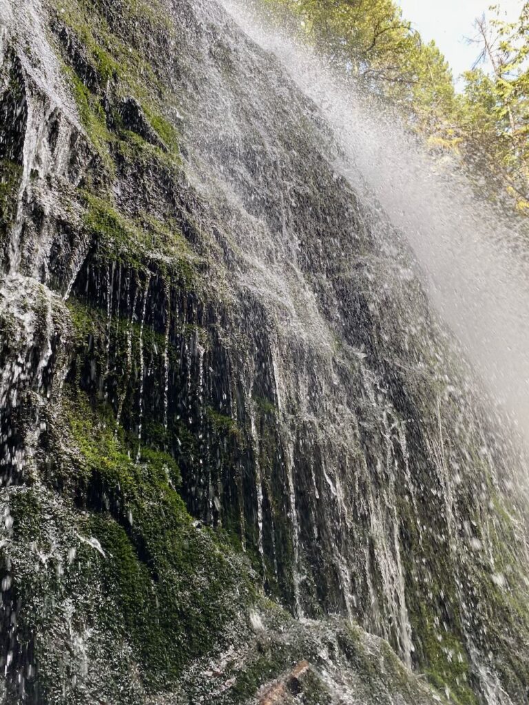 Fletcher Falls in Spring