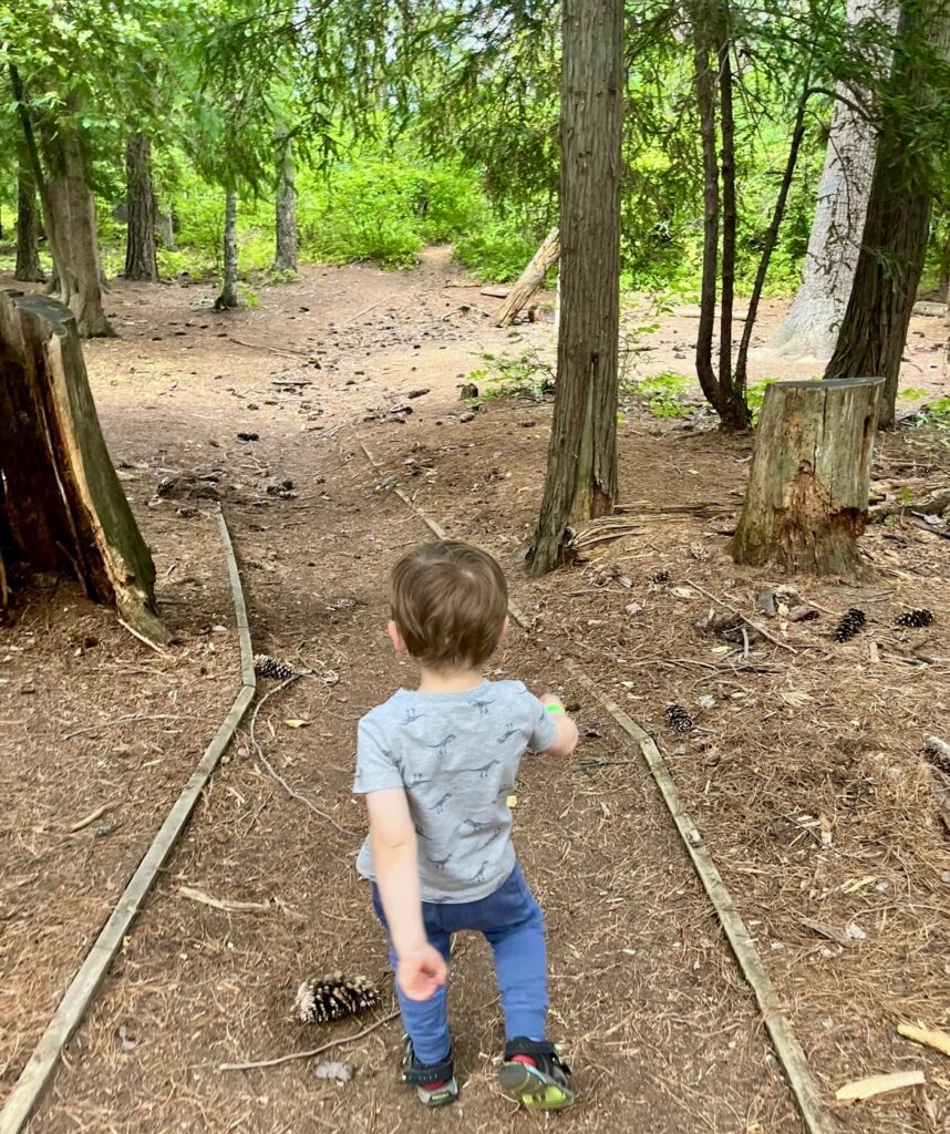 Merry Creek Path Castlegar