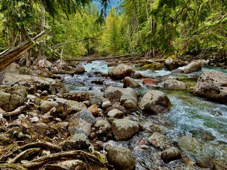 Kokanee Creek