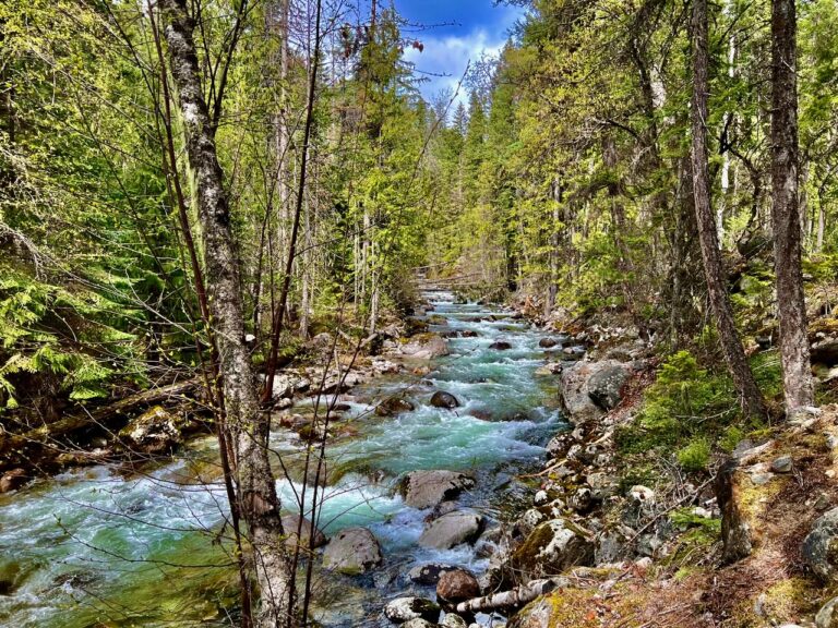 Kokanee Creek Canyon at Kokanee Creek Provincial Park