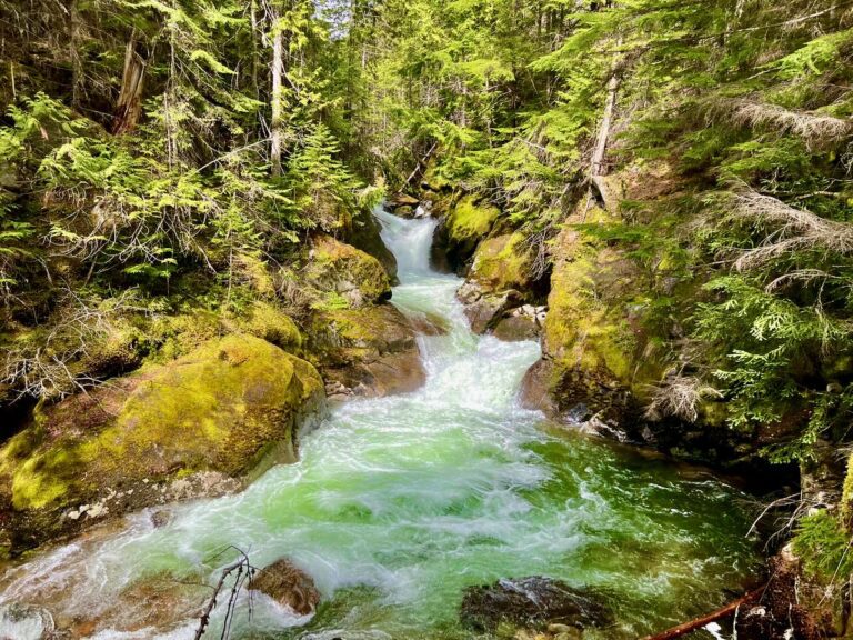 Kokanee Creek Falls from the viewing platform