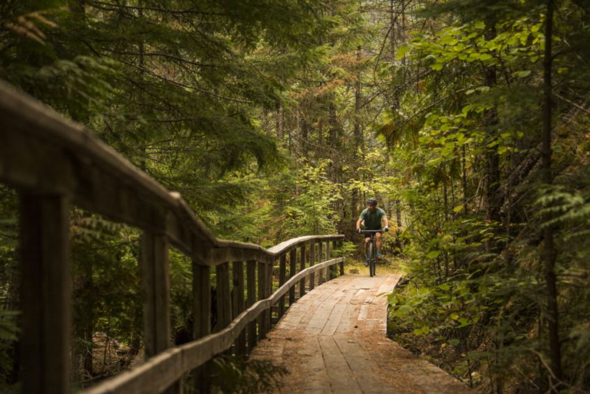 Galena Trail boardwalk