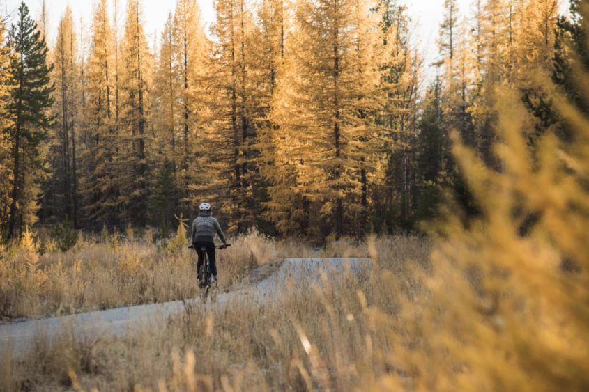 walking the northstar rail trail between cranbrook and kimberly