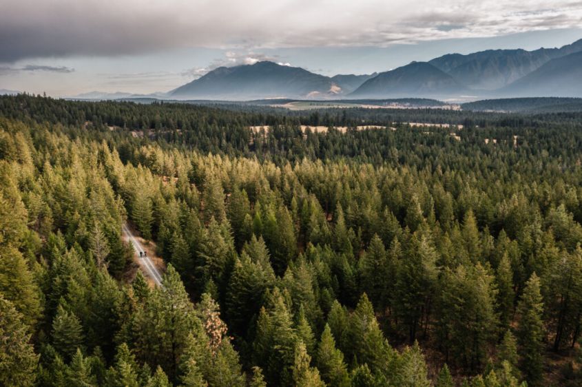 Isadore Rail Trail through the forest in Cranbrook