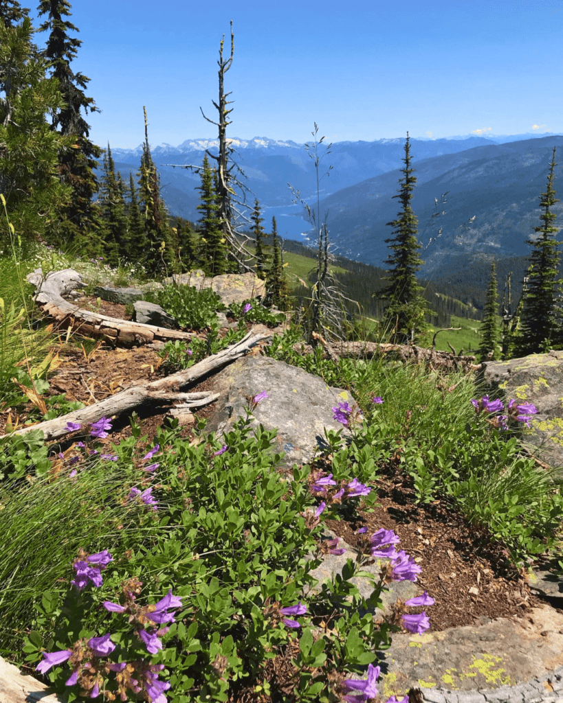 Toad Mountain near Nelson BC