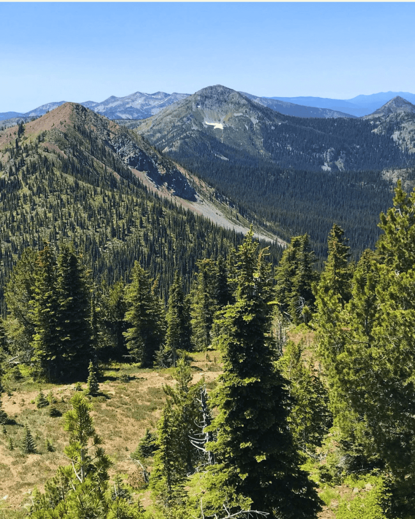 Toad Mountain near Nelson BC