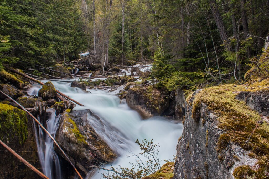 Evans Creek near Slocan