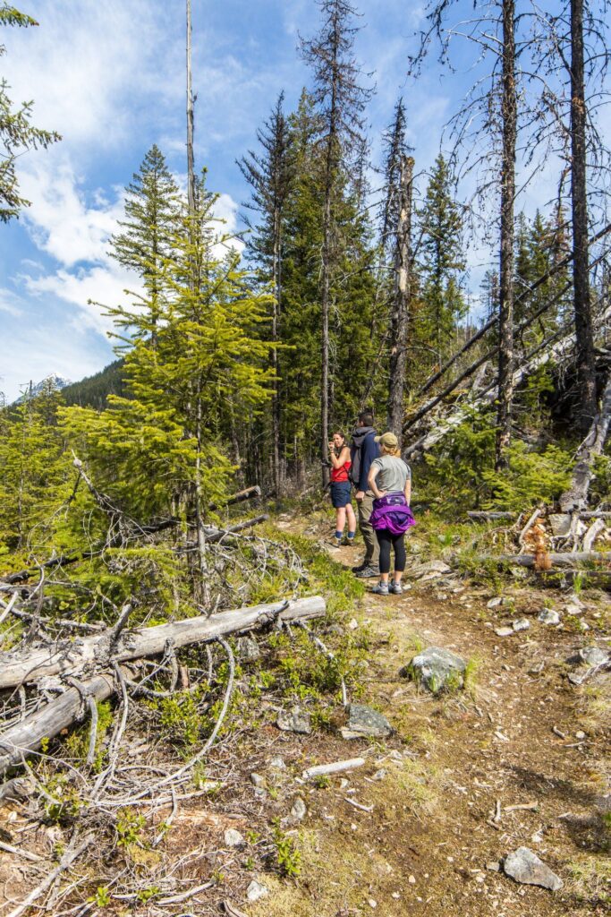 Evans Creek near Slocan