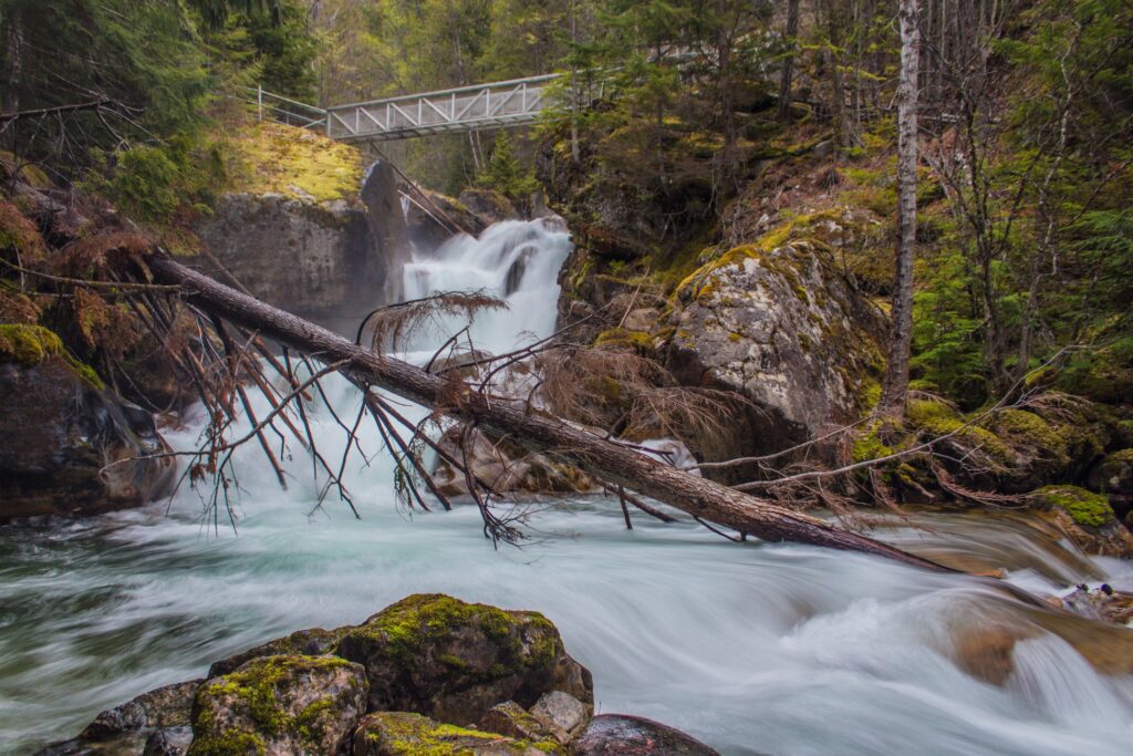 Evans Creek near Slocan