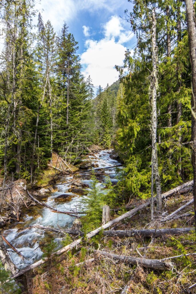 Evans Creek near Slocan