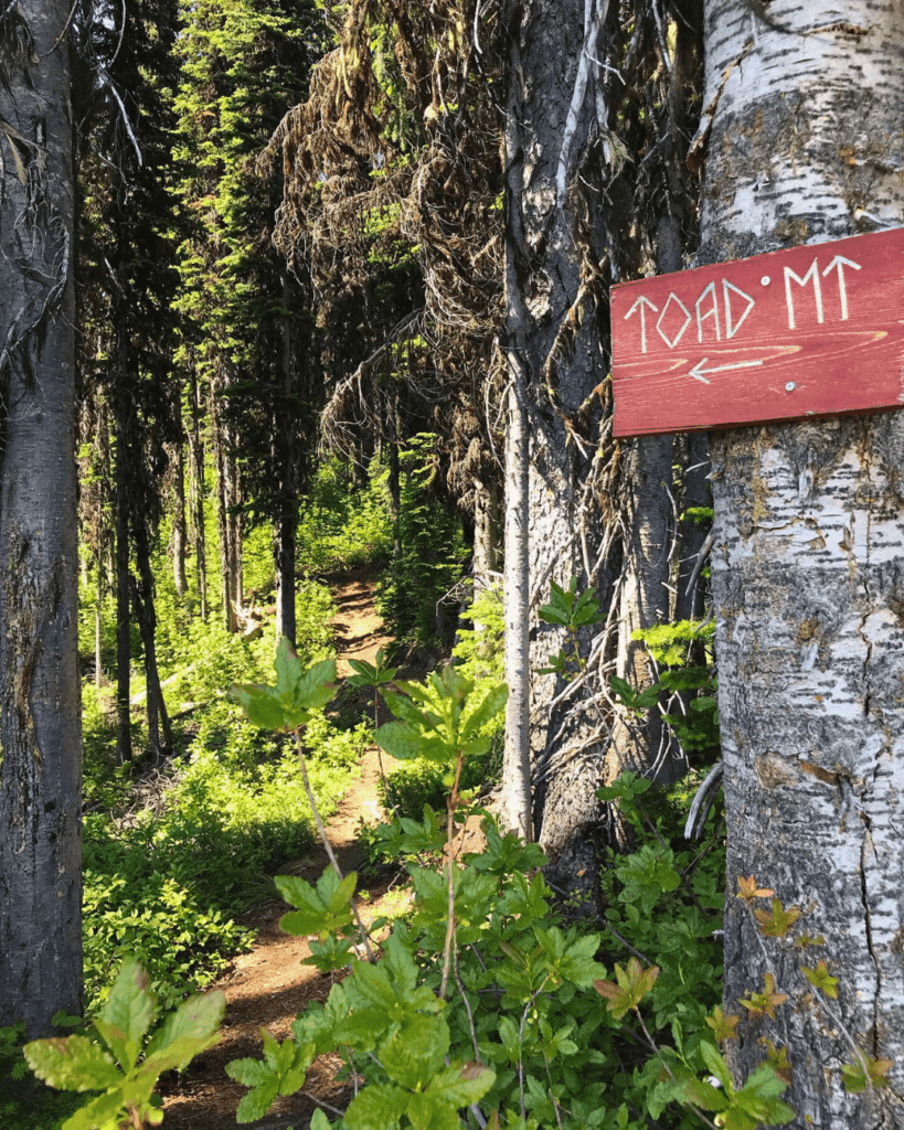 Toad Mountain near Nelson BC