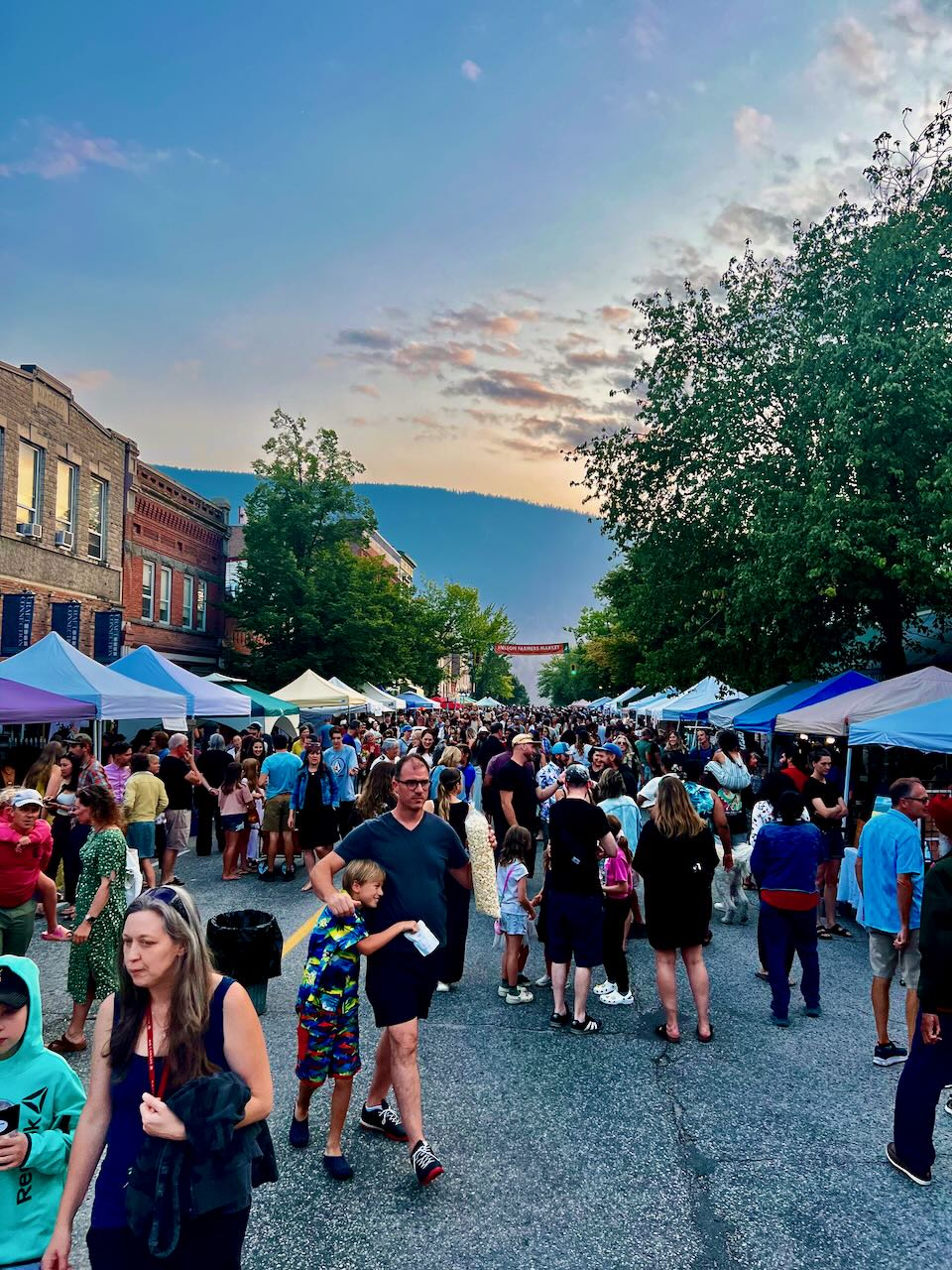 Nelson Night Market: Creative Community Connection