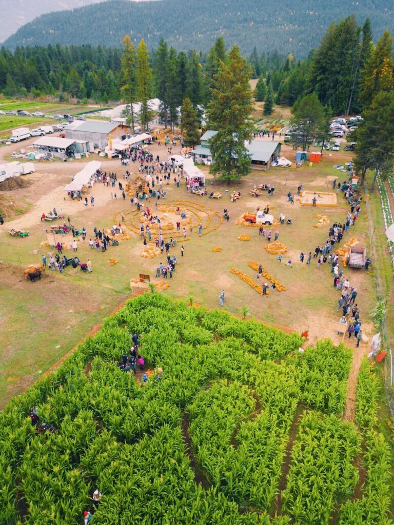 Linden Lanes corn maze event