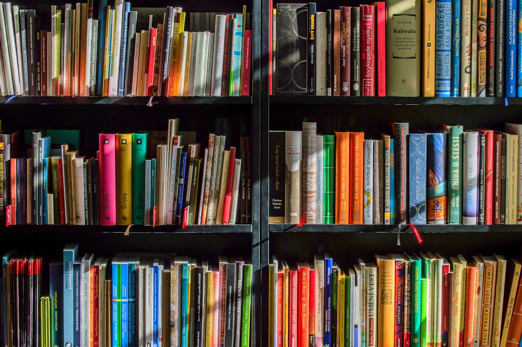 Books in Black Wooden Book Shelf