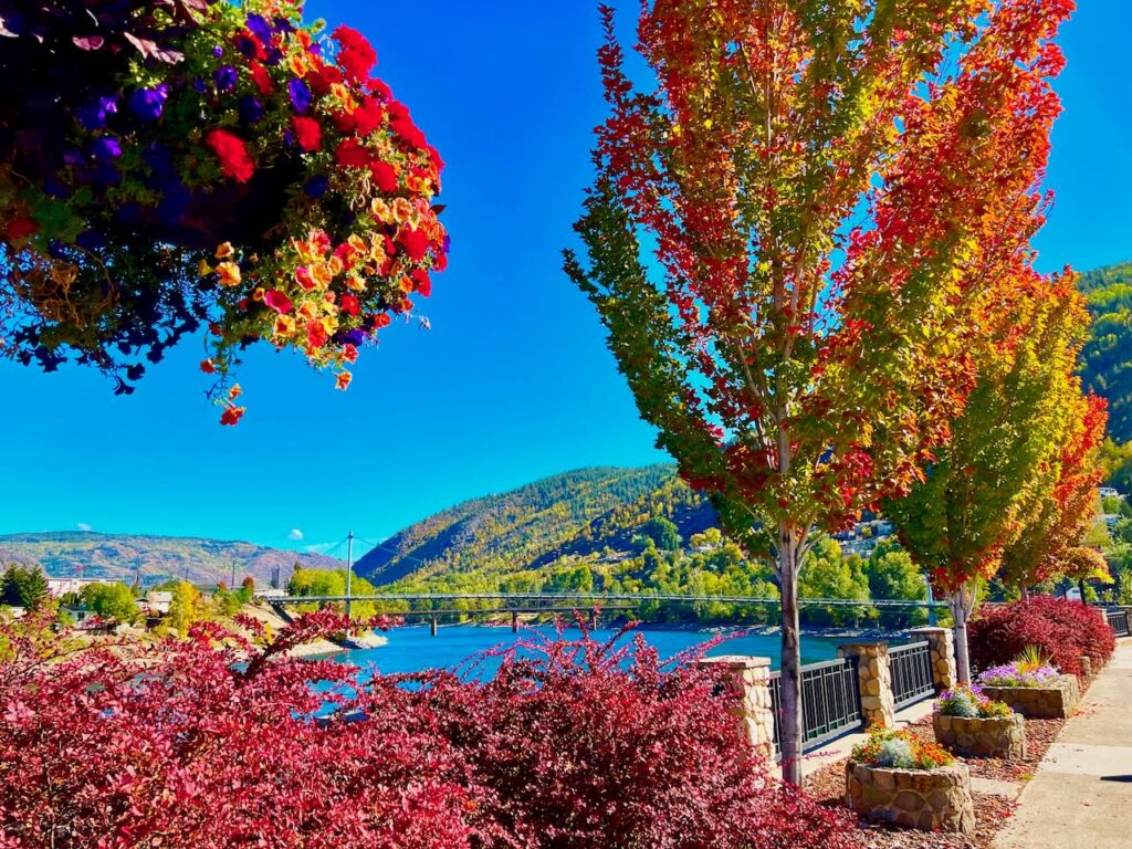 fall leaves in trail bc