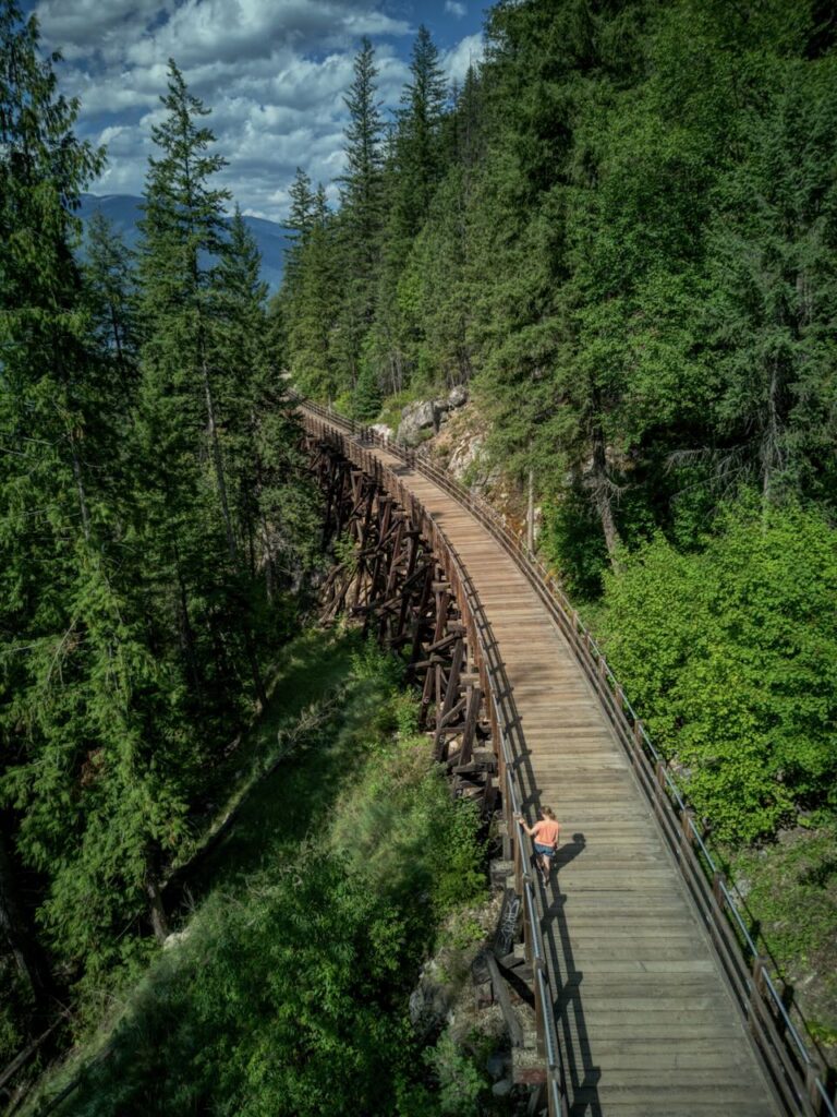 nelson's rail trail trestle bridge in the forest